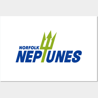 Defunct Norfolk Neptunes Football 1969 Posters and Art